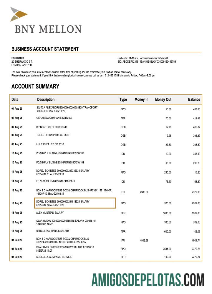 Baixável USA Bank Of New York Mellon Organization Statement modelo Word e PDF